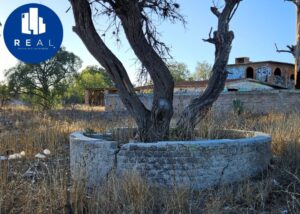 Terreno en venta, Tizayuca, San Miguel; Zumpango Estado de México